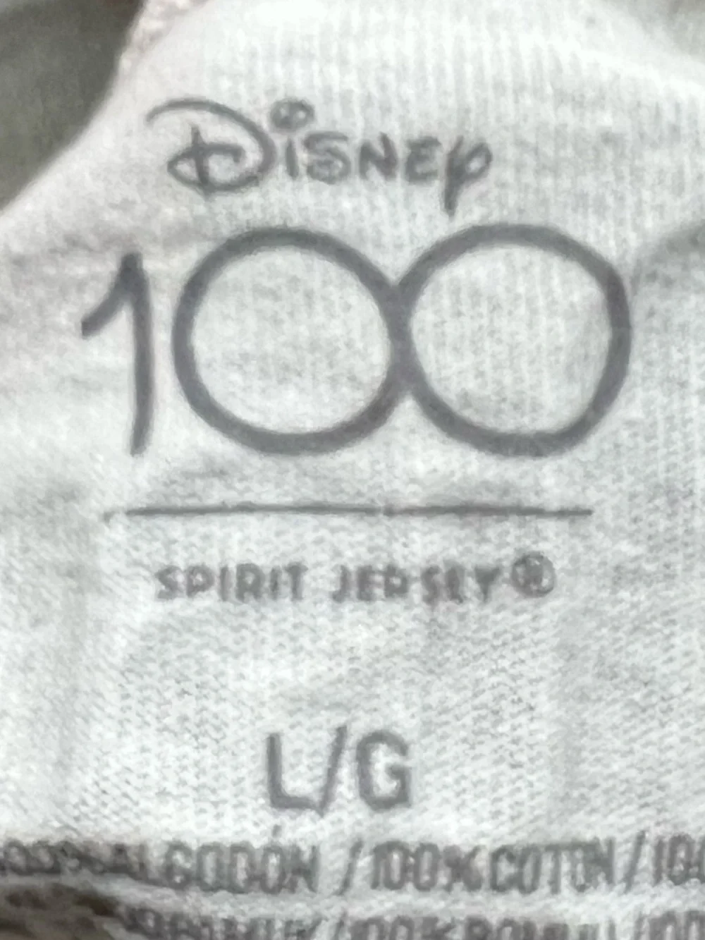 Disney questions leave